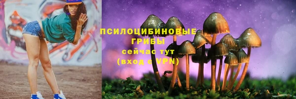 спиды Лиски