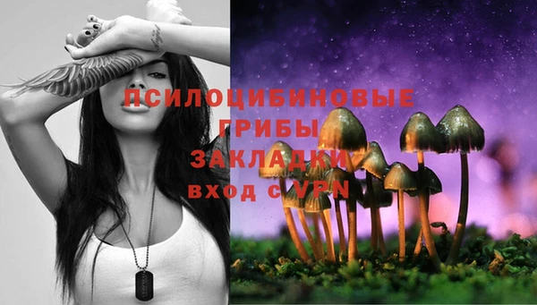 прущая мука Верея