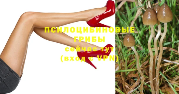 герыч Бронницы