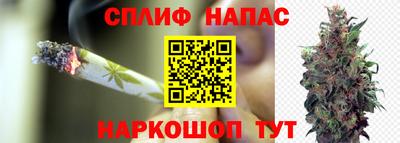 каннабис Берёзовский