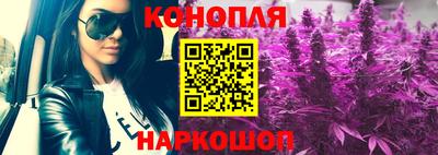 гашик Бузулук