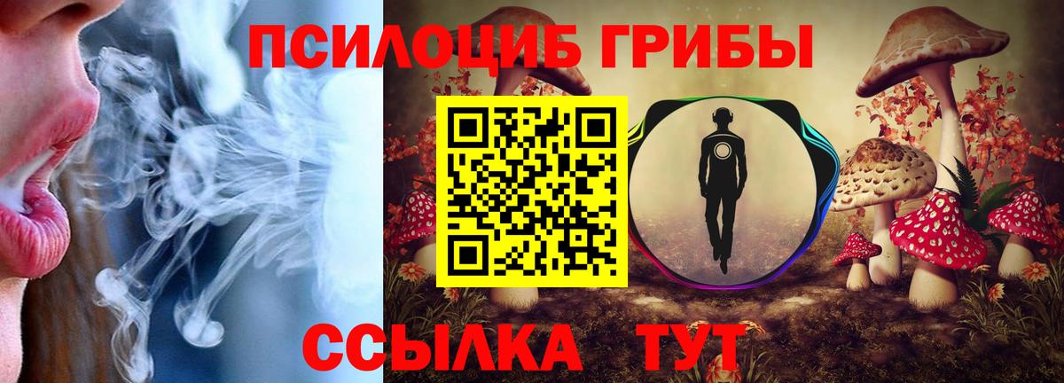 Псилоцибиновые грибы прущие грибы  закладка  Воткинск  Вход с VPN 